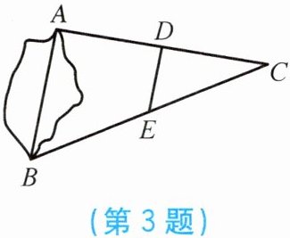 第3题