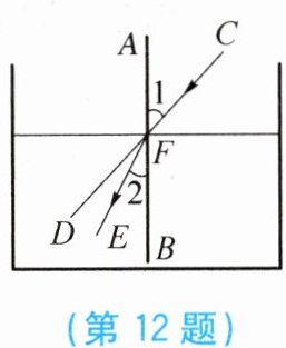 第12题