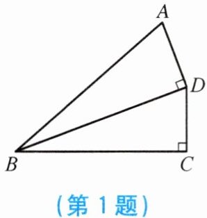 第1题