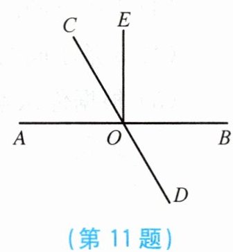 第11题