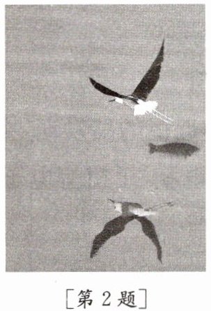 第2题