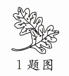 1题图
