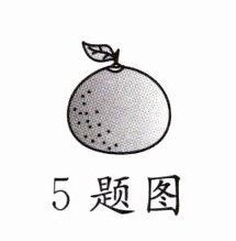 5题图
