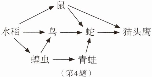 第4题