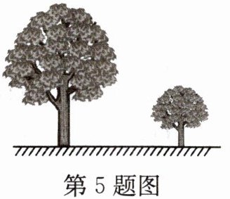 第5题图