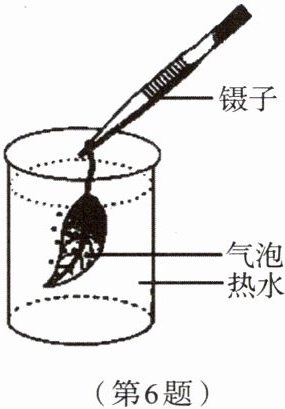 第6题