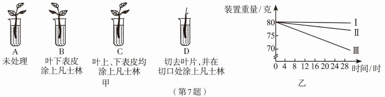 第7题