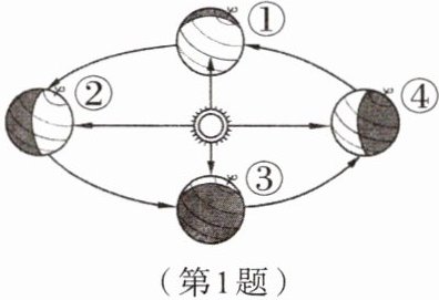 第1题