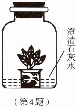 第4题