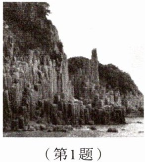 第1题
