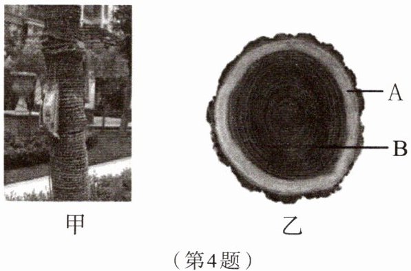 第4题