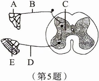 第5题