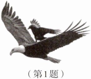 第1题