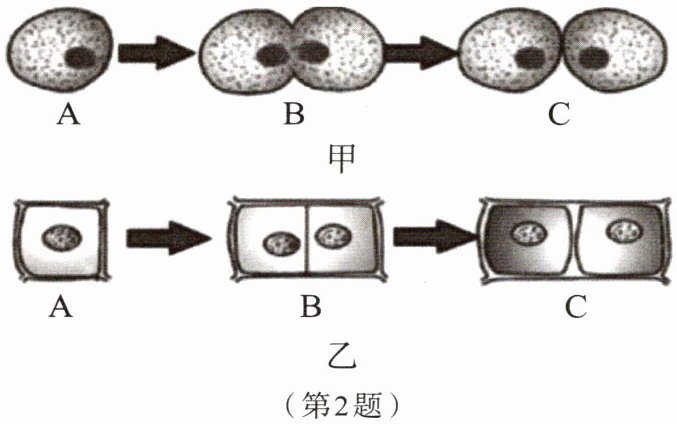 第2题