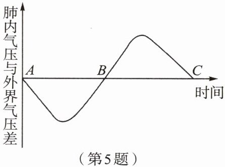 第5题