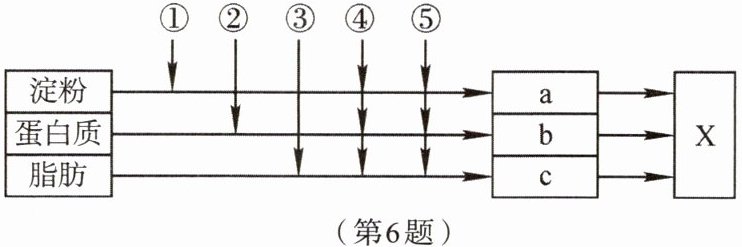第6题