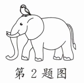 第2题图
