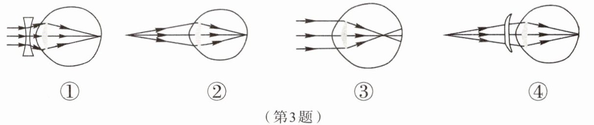 第3题