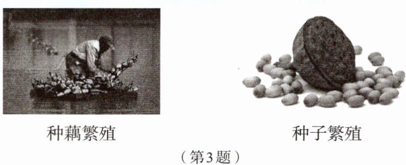 第3题