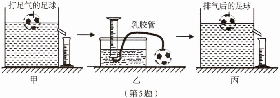 第5题