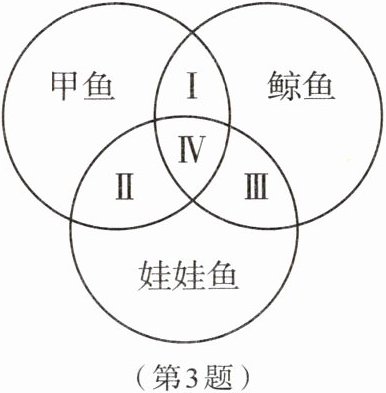 第3题