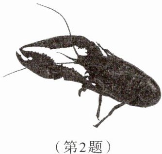 第2题
