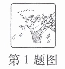 第1题图