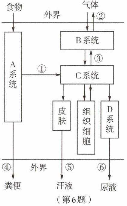第6题