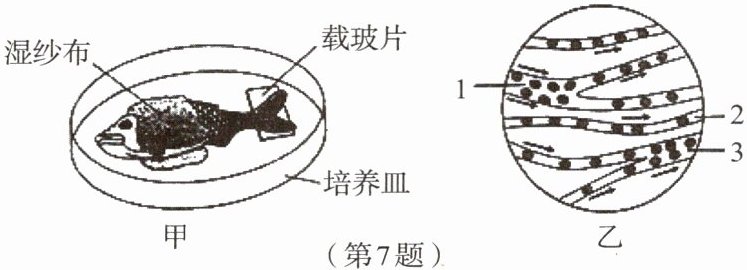 第7题