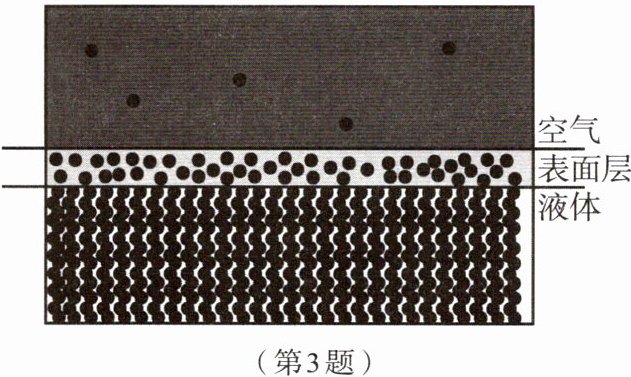 第3题