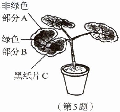 第5题