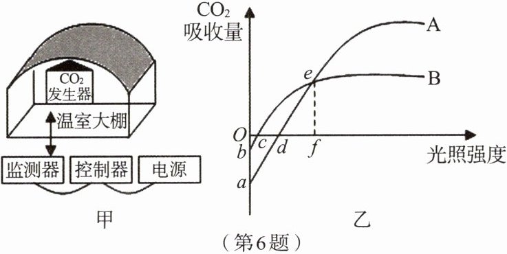第6题