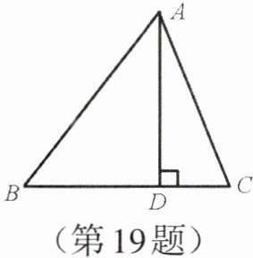 第19题