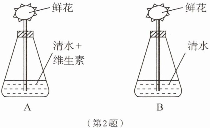 第2题