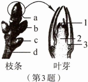 第3题