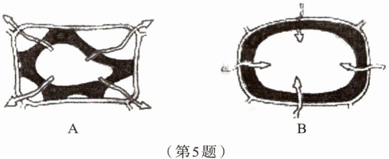 第5题
