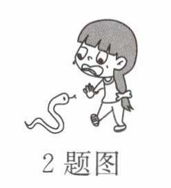 2题图