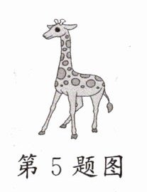 第5题图
