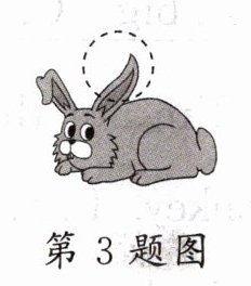 第3题图