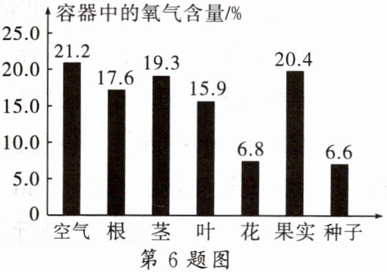 第6题图花果实种子