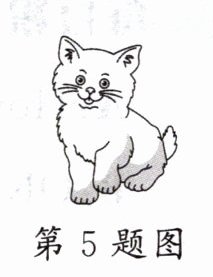 第5题图