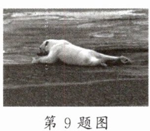 第9题图