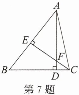 第7题