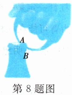 第8题图