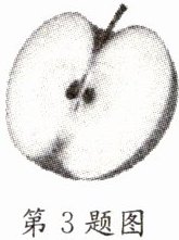 第3题图