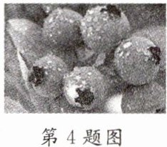 第4题图