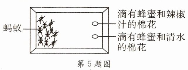 第5题图