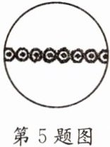 第5题图