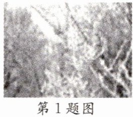 第1题图