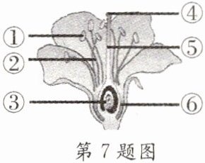 第7题图